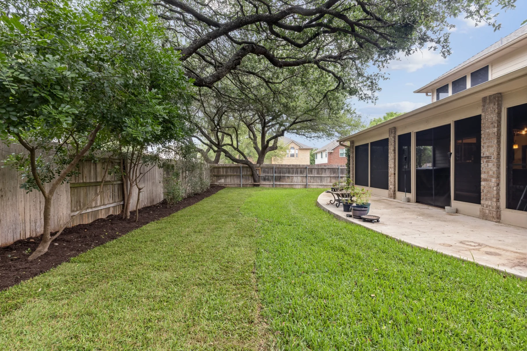Backyard framed by mature oak canopy